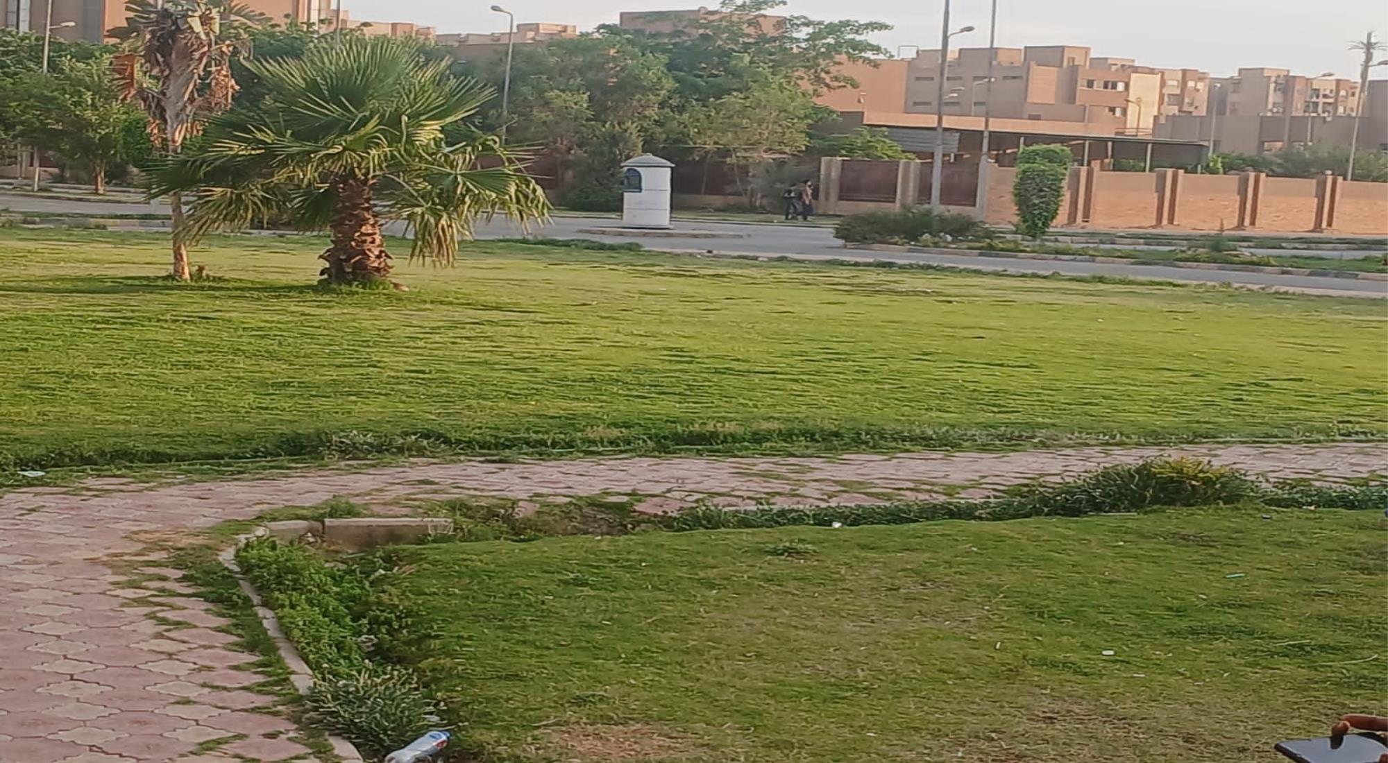latest property