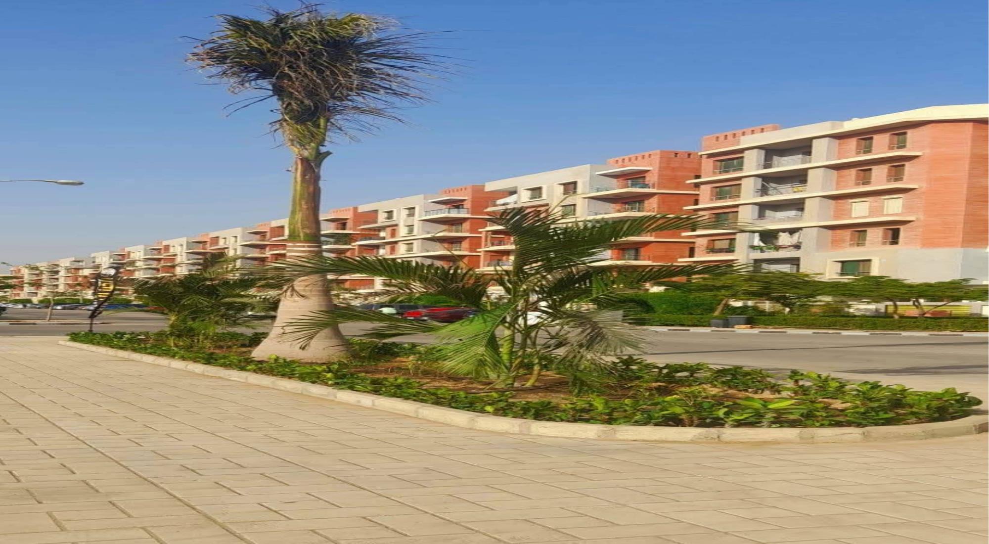 latest property
