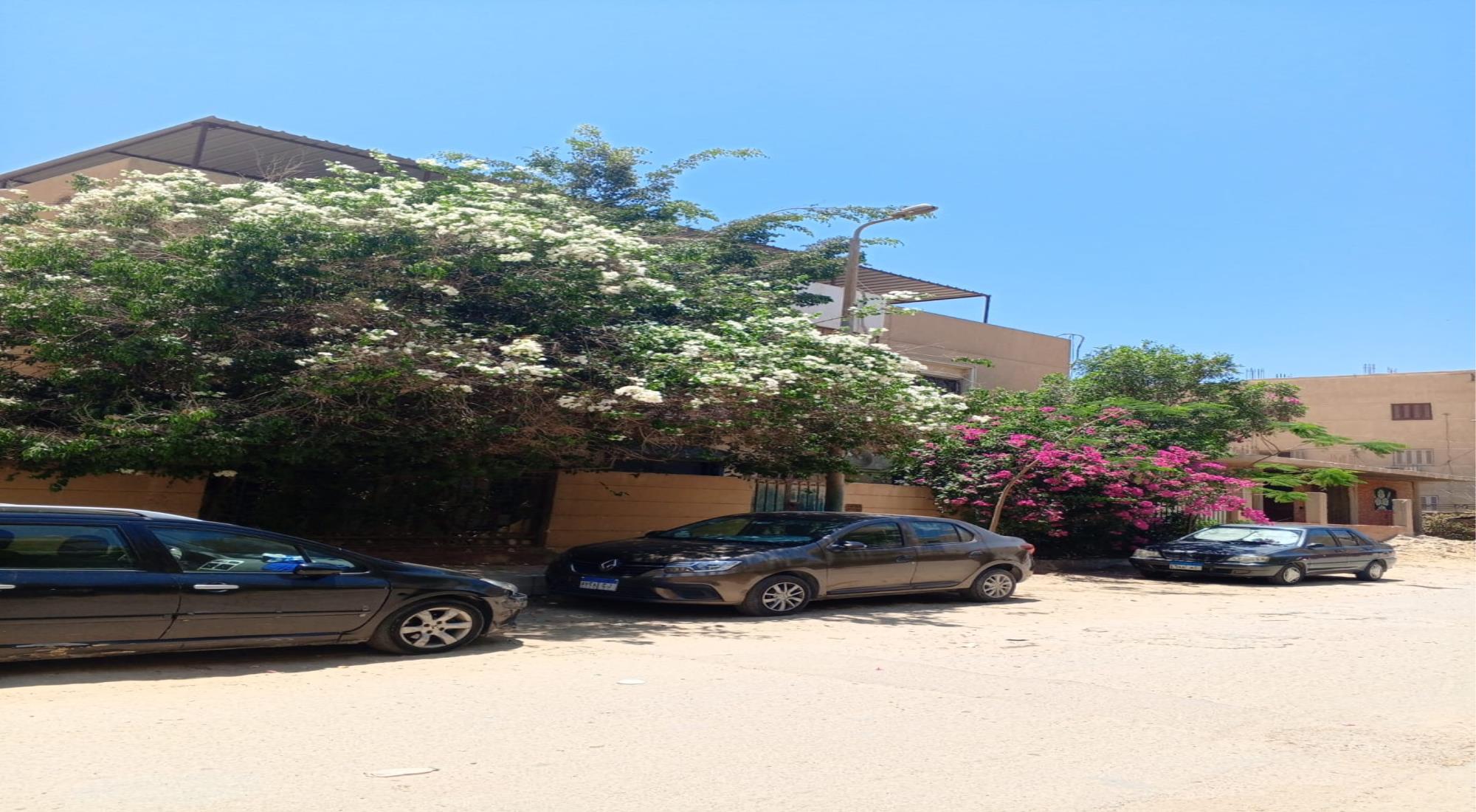 latest property
