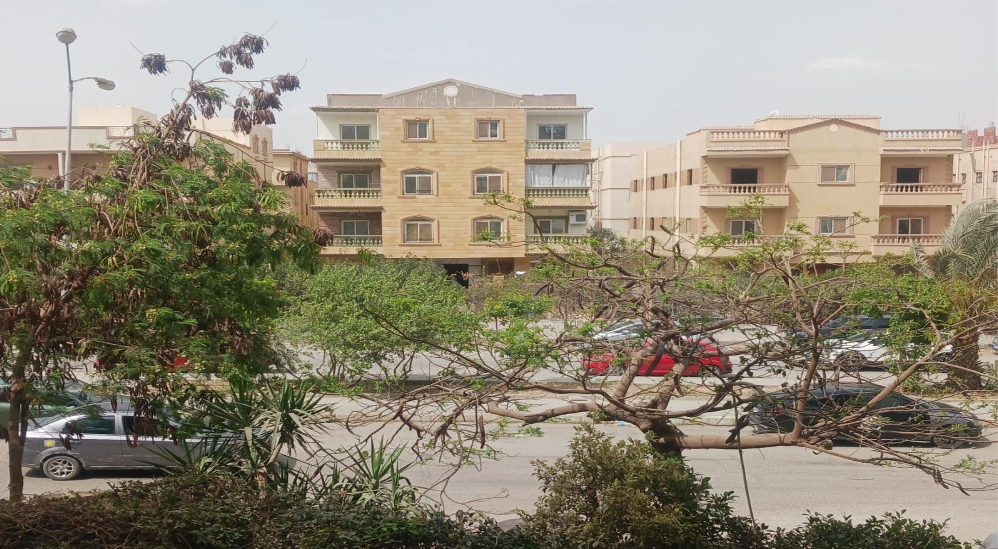latest property