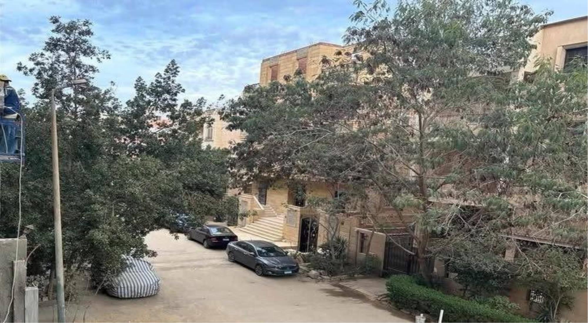 latest property