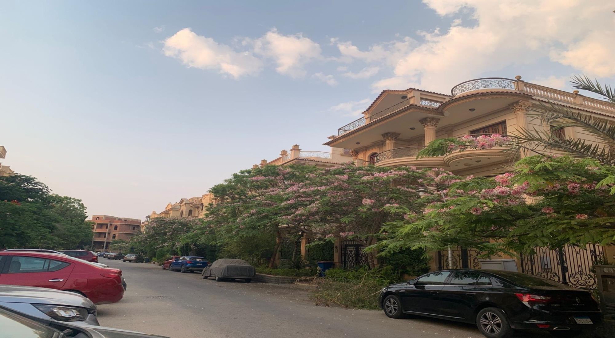 latest property